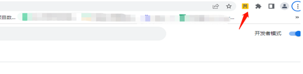 谷歌浏览器怎么显示扩展程序栏图标7