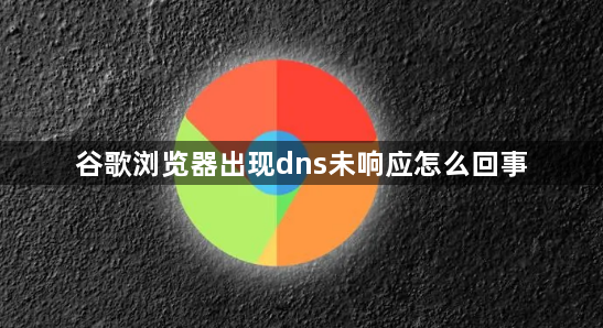 谷歌浏览器出现dns未响应怎么回事1