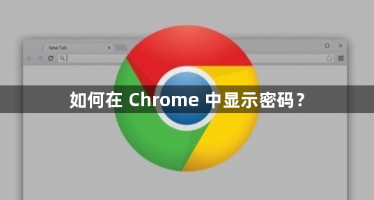 如何在 Chrome 中显示密码？1