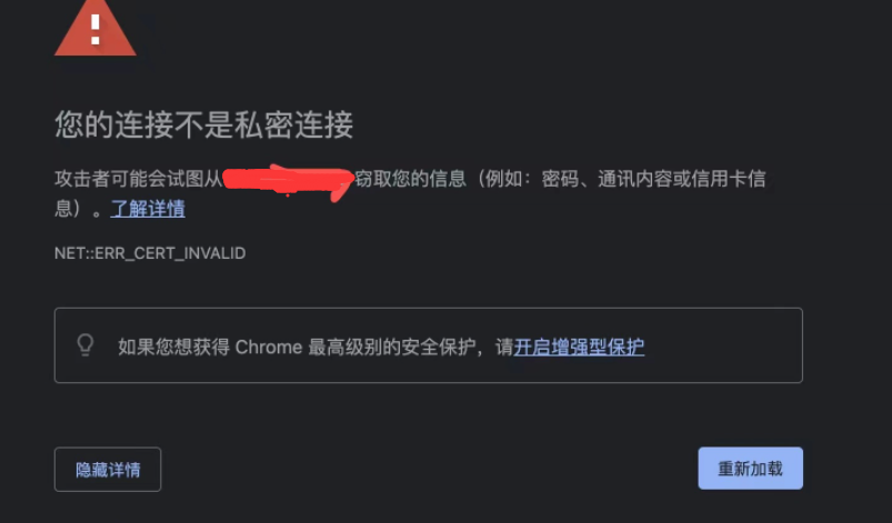 谷歌浏览器提示不是私密链接怎么办2