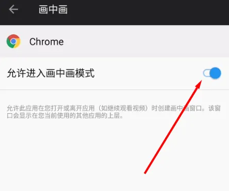 手机谷歌浏览器画中画功能怎么用7