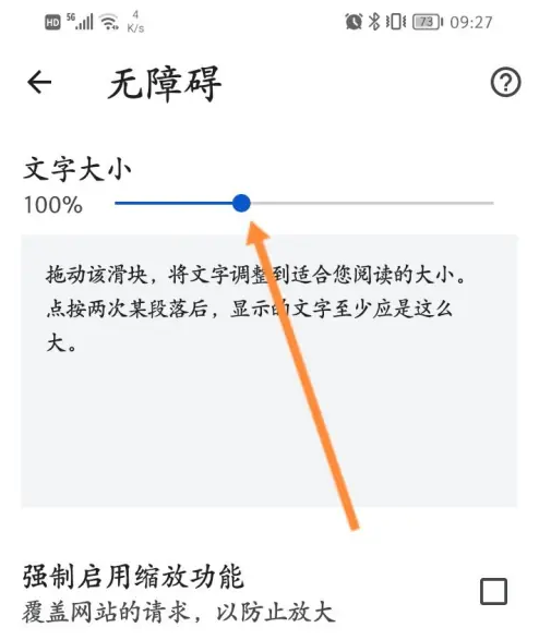 谷歌浏览器app如何调整字体大小5