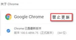 谷歌浏览器更新提示怎么关闭6