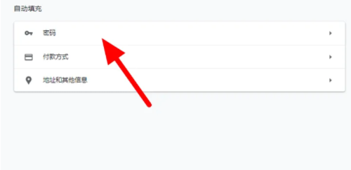 谷歌浏览器如何保存账号密码5