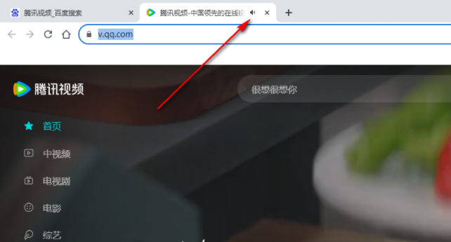 Chrome浏览器如何将网站静音3