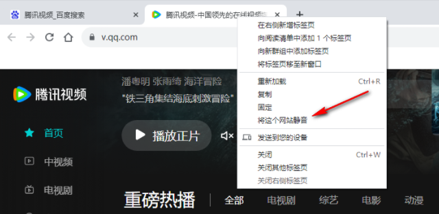 Chrome浏览器如何将网站静音4