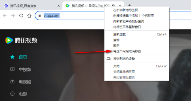 Chrome浏览器如何将网站静音6